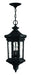 Hinkley - 1602MB - LED Hanging Lantern - Raley - Museum Black