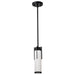 Nuvo Lighting - 60-8053 - One Light Mini Pendant - Roselle - Matte Black