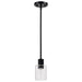 Nuvo Lighting - 60-8064 - One Light Mini Pendant - Clarksville - Matte Black