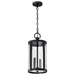 Nuvo Lighting - 60-8115 - Two Light Hanging Lantern - Broadstone - Matte Black