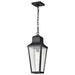 Nuvo Lighting - 60-8135 - One Light Hanging Lantern - Lawrence - Matte Black