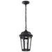 Nuvo Lighting - 62-5944 - LED Pendant - East River - Matte Black