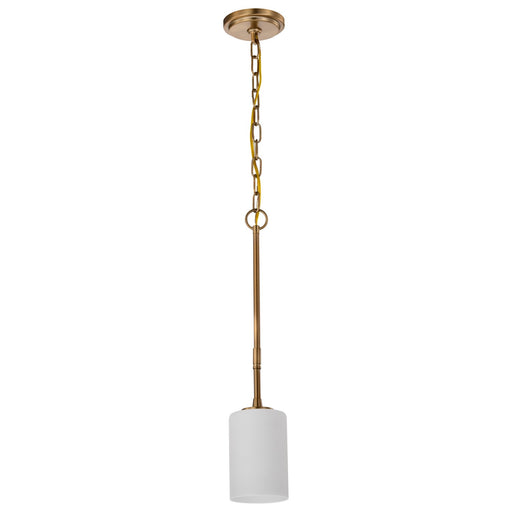 Nuvo Lighting - 60-8205 - One Light Mini Pendant - Liam - Burnished Brass
