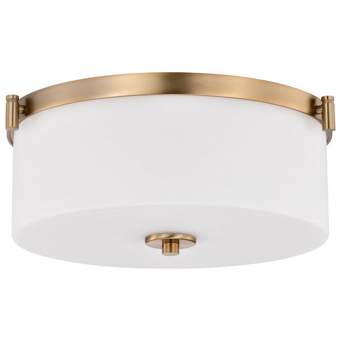Nuvo Lighting - 60-8207 - Three Light Flush Mount - Liam - Burnished Brass