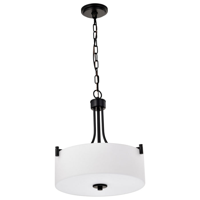Nuvo Lighting - 60-8214 - Three Light Pendant - Liam - Matte Black