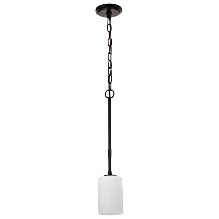 Nuvo Lighting - 60-8215 - One Light Mini Pendant - Liam - Matte Black