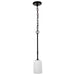 Nuvo Lighting - 60-8215 - One Light Mini Pendant - Liam - Matte Black