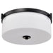 Nuvo Lighting - 60-8217 - Three Light Flush Mount - Liam - Matte Black