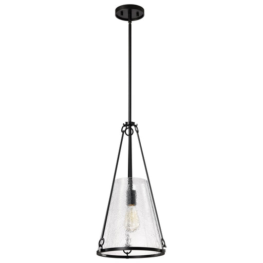 Nuvo Lighting - 60-8256 - One Light Pendant - Valentine - Black