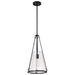 Nuvo Lighting - 60-8256 - One Light Pendant - Valentine - Black