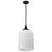 Nuvo Lighting - 60-8646 - One Light Pendant - Solara - Matte Black