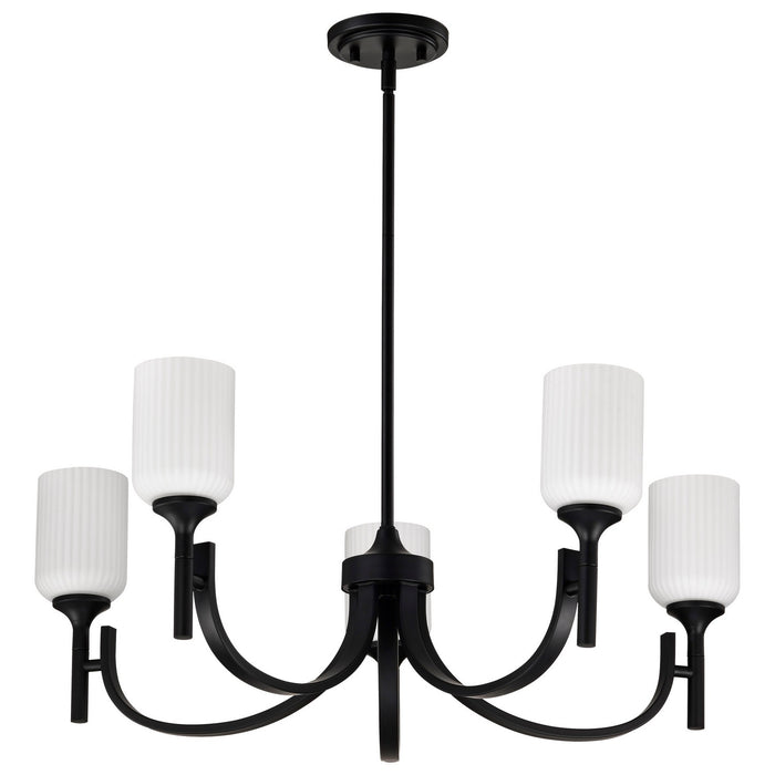 Nuvo Lighting - 60-8650 - Five Light Chandelier - Solara - Matte Black