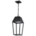 Nuvo Lighting - 62-2314 - LED Pendant - Colt - Matte Black