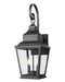 Z-Lite - 5029M-BK - Two Light Outdoor Wall Mount - Raphael - Sand Black