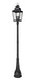 Z-Lite - 5029PHXLR-564P-BK - Four Light Outdoor Post Mount - Raphael - Sand Black