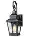 Z-Lite - 5029S-BK - One Light Outdoor Wall Mount - Raphael - Sand Black