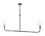 Z-Lite - 3049-60L-MB - Two Light Linear Chandelier - Tova - Matte Black