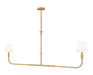 Z-Lite - 3049-60L-RB - Two Light Linear Chandelier - Tova - Rubbed Brass