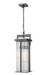 Z-Lite - 5031CHB-BK - Two Light Outdoor Chain Mount Ceiling Fixture - Fortis - Sand Black