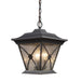 ELK Home - 42123/1 - Three Light Hanging Lantern - Rutland - Hazelnut Bronze