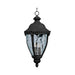 Maxim - 40291WGET - Three Light Outdoor Hanging Lantern - Morrow Bay VX - Earth Tone