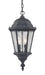 Acclaim Lighting - 5516BK - Two Light Hanging Lantern - Telfair - Matte Black