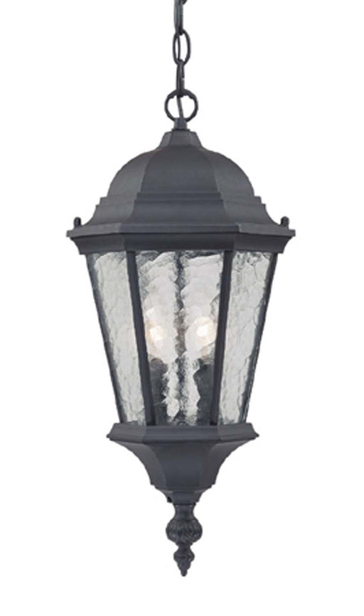 Acclaim Lighting - 5516BK - Two Light Hanging Lantern - Telfair - Matte Black