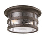 Troy Lighting - C3310-APW - Two Light Flush Mount - Barbosa - Barbosa Bronze