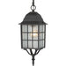Nuvo Lighting - 60-4913 - One Light Hanging Lantern - Adams - Textured Black