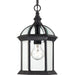 Nuvo Lighting - 60-4979 - One Light Hanging Lantern - Boxwood - Textured Black