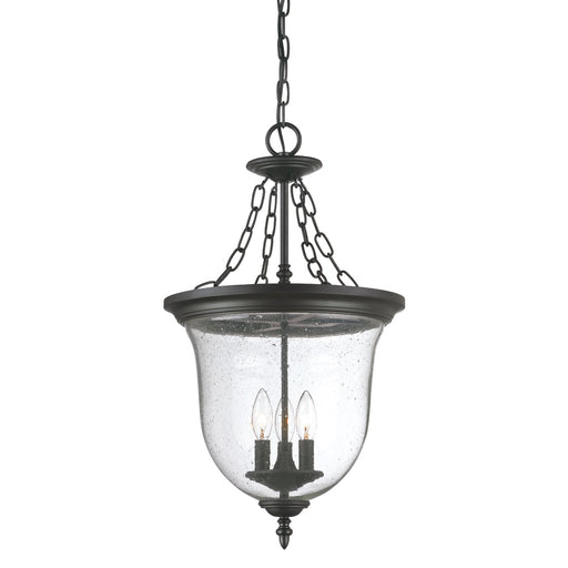 Acclaim Lighting - 9316BK - Three Light Hanging Lantern - Belle - Matte Black