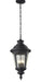 Z-Lite - 545CHB-BK - Four Light Outdoor Chain Mount Ceiling Fixture - Medow - Black