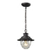 ELK Home - 45041/1 - One Light Outdoor Pendant - Searsport - Weathered Charcoal