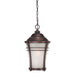 Acclaim Lighting - 39626ABZ - One Light Hanging Lantern - Vero - Architectural Bronze