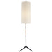 Visual Comfort Signature - ARN 1001AI-L - One Light Floor Lamp - Frankfort - Aged Iron