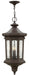 Hinkley - 1602OZ - LED Hanging Lantern - Raley - Oil Rubbed Bronze