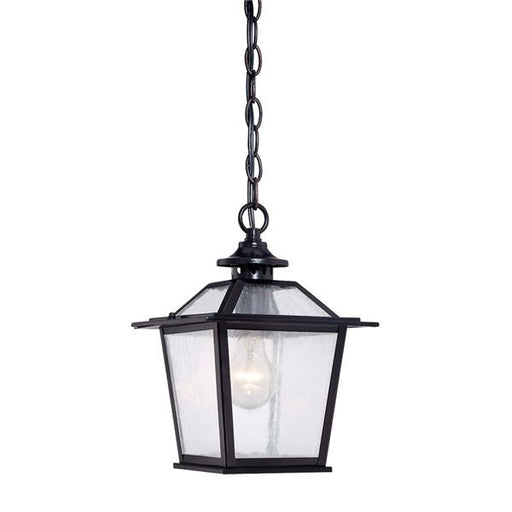 Acclaim Lighting - 9706BK - One Light Hanging Lantern - Salem - Matte Black