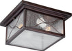 Nuvo Lighting - 60-5616 - Two Light Flush Mount - Vega - Classic Bronze