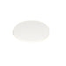 W.A.C. Lighting - LENS-16-FR - Color Lens - Lens And Glare Control - Frosted