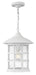 Hinkley - 1802CW - LED Hanging Lantern - Freeport - Classic White