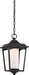 Nuvo Lighting - 62-824 - LED Outdoor Hanging Lantern - Essex - Sterling Black