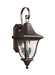 Visual Comfort Studio - OL13101PTBZ - Two Light Outdoor Wall Lantern - Oakmont - Patina Bronze