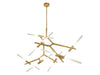 Avenue Lighting - HF8060-14-BB - 14 Light Chandelier - San Vicente - Brushed Brass