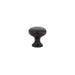Cabinet Knob, Brass Providence, 1", US10B