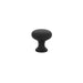 Cabinet Knob, Brass Providence, 1", US19