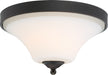 Nuvo Lighting - 60-6311 - Two Light Flush Mount - Fawn - Mahogany Bronze