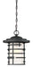 Nuvo Lighting - 60-6405 - One Light Hanging Lantern - Lansing - Textured Black