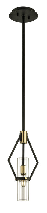 Troy Lighting - F6313 - One Light Pendant - Raef - Textured Bronze Brushed Brass