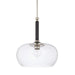 Capital Lighting - 325811BT-438 - One Light Pendant - Dorsey - Black Tie