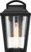 Nuvo Lighting - 60-6511 - One Light Outdoor Wall Lantern - Lakeview - Aged Bronze / Brass Accents